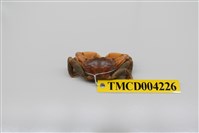 藏品(秀麗長方蟹)的圖片